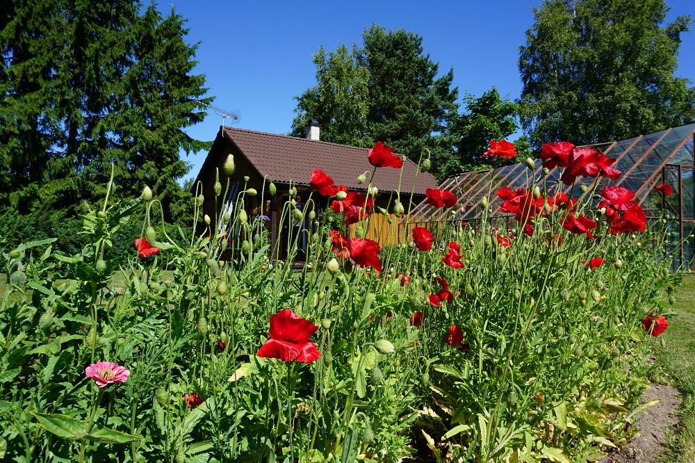 Kelluka Holiday House Parispea Luaran gambar
